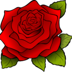 flower, rose, plant-156608.jpg